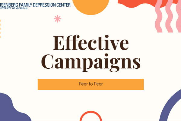 2024 - Campaigns