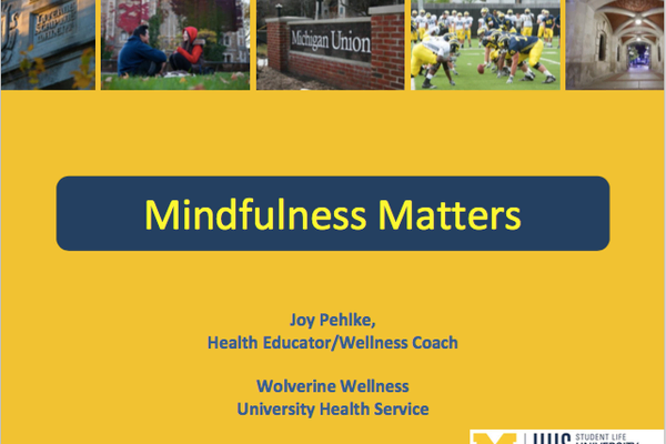 2016 - Mindfulness