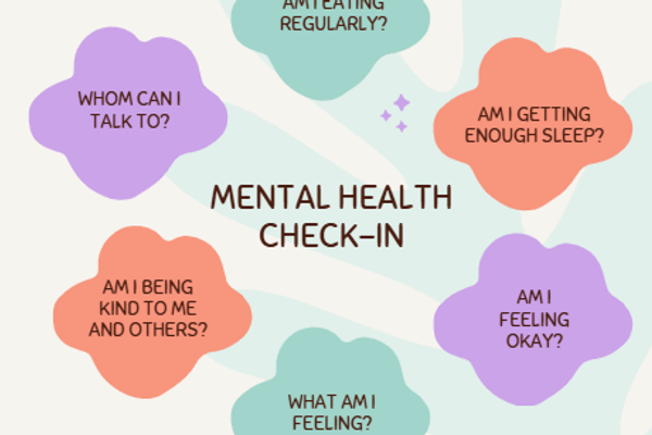 Mental Health Check In (2024)